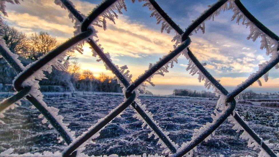 Frost formed on a wire mesh fence