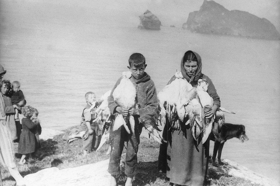 Anne and Finlay are helping with the fulmar