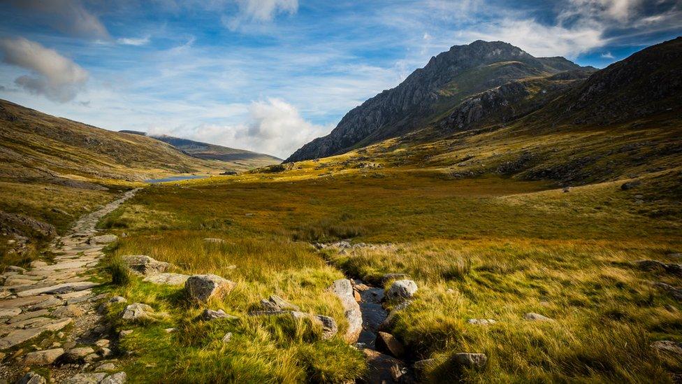 Welsh hillside