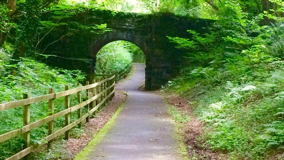 Lon Las Ogwen cycle track