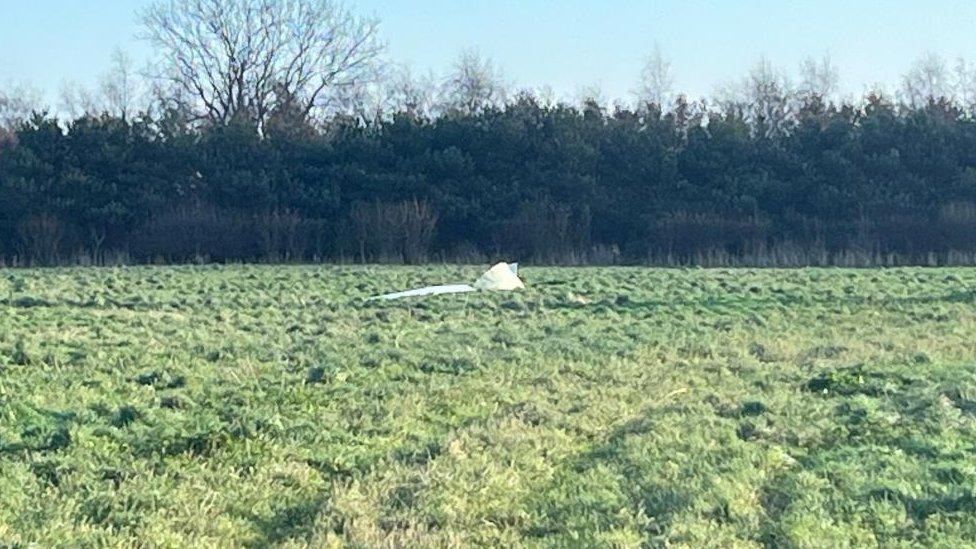 Part of turbine blade in field of grass.