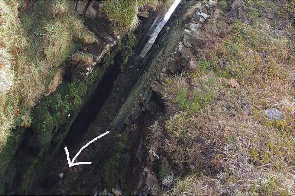 Rescue of dog at Dunnet Head