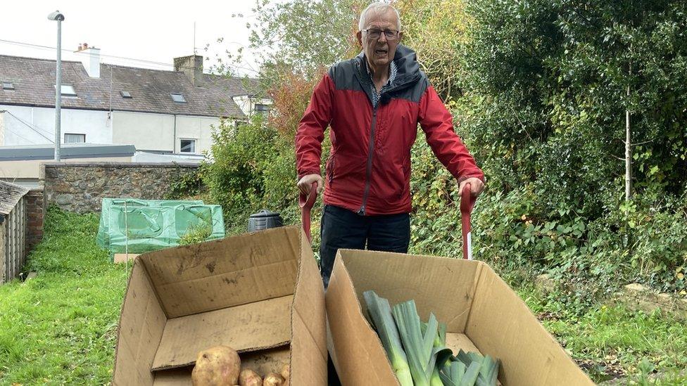 Alun Roberts from Caernarfon in his allotment