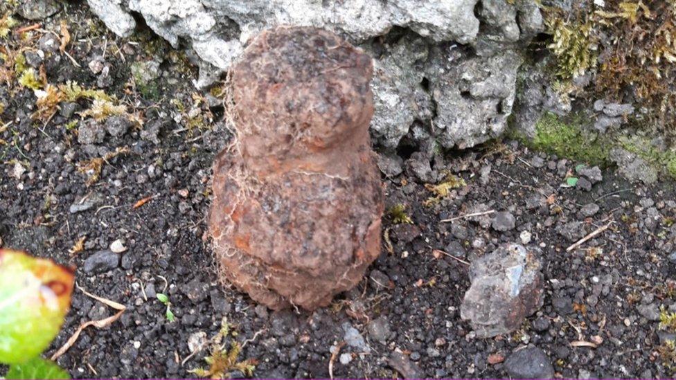 The item reported by a gardener to be a grenade