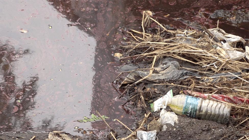 Polluted portion of a lake