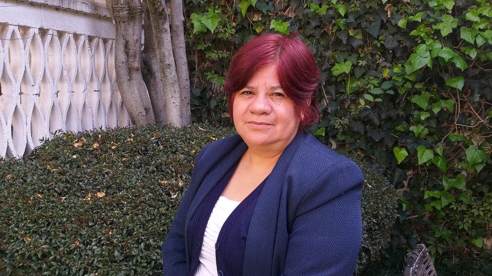 Maria de la Luz Estrada, director of the National Citizen's Observatory on Femicide in Mexico