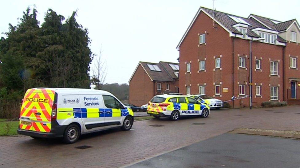 Southalls Way, Norwich and police cars