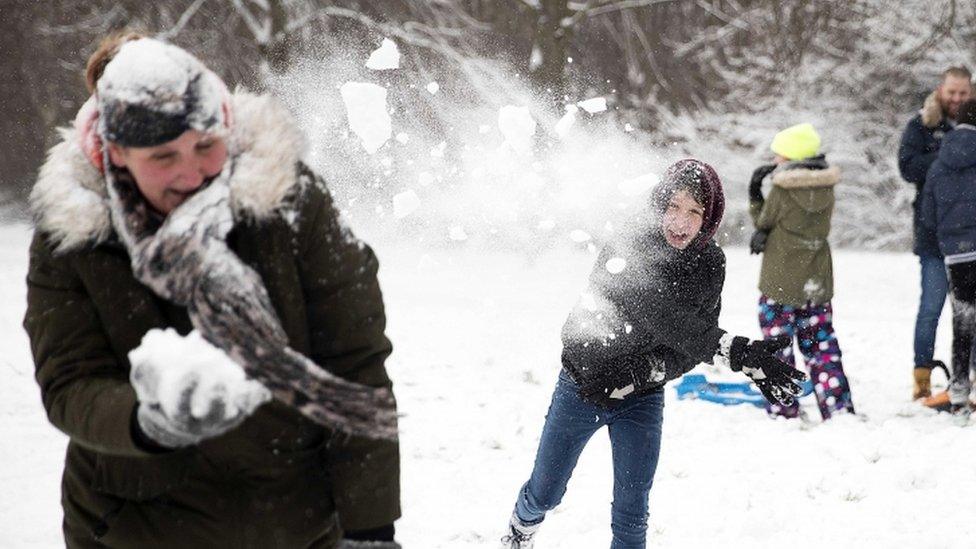 People throw snowballs at each other as they enjoy the snow on a hill in Rotterdam