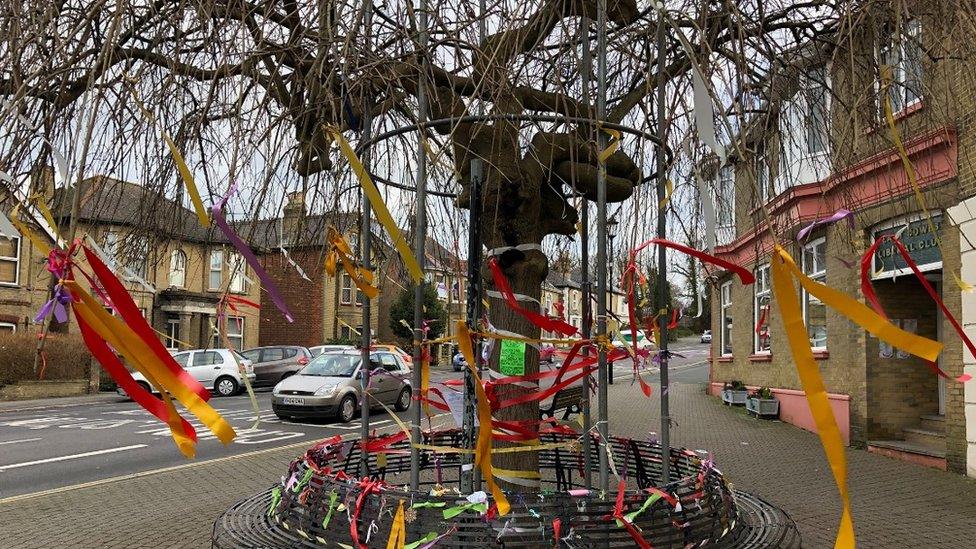 The "Umbrella Tree" in Cowes