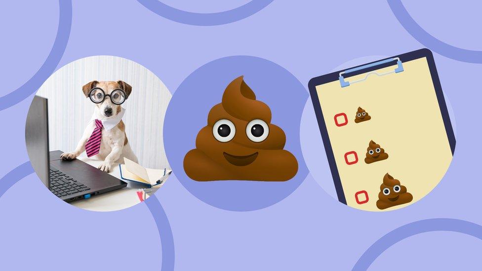 Dog on computer, poo emoji and clipboard