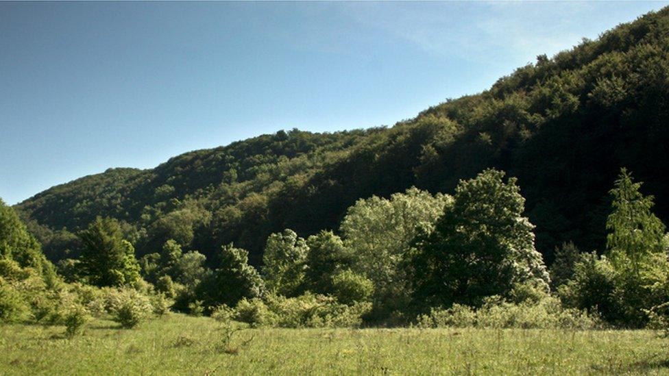 Semenic-Cheile Carasului National Park, Romania