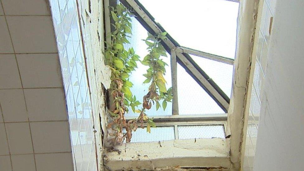 Govanhill Baths