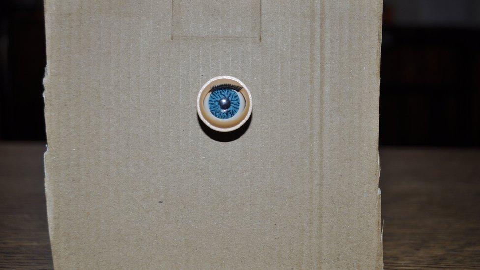 Photo of an eye stuck to a piece of cardboard