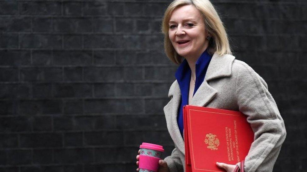 Elizabeth Truss