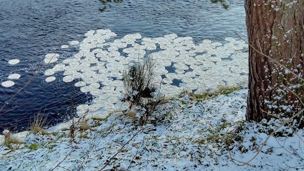 Ice pancakes spotted in the water in Huntly, Aberdeenshire