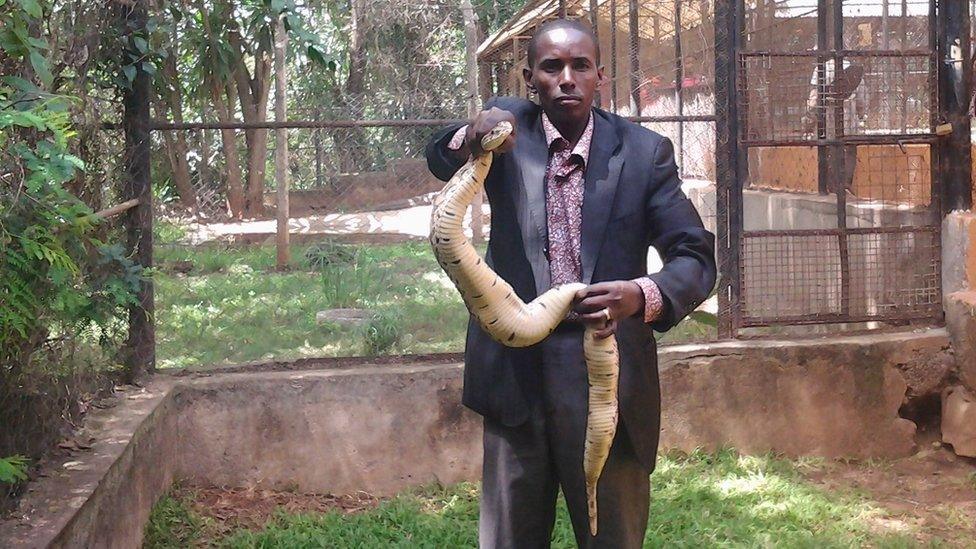 A man holding a puff adder