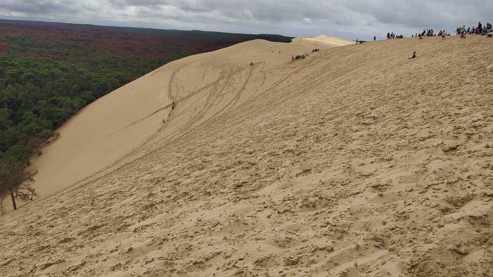 Dune of Pilat