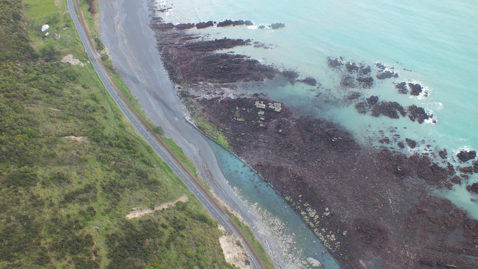 The uplift of seabed near Kaikoura