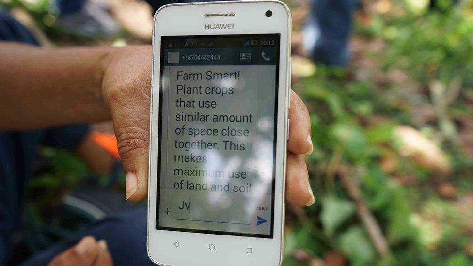 A close-up of a phone with a message advising farmers on how to plant their crops