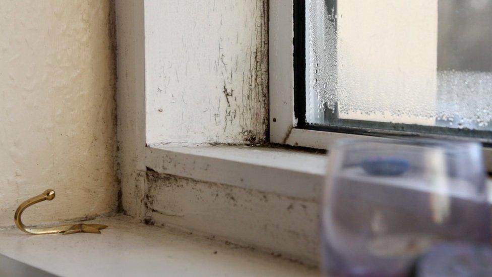 A window showing signs of damp in Hayley's house