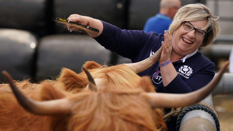 Rosemary Hunter with her Highland cattle