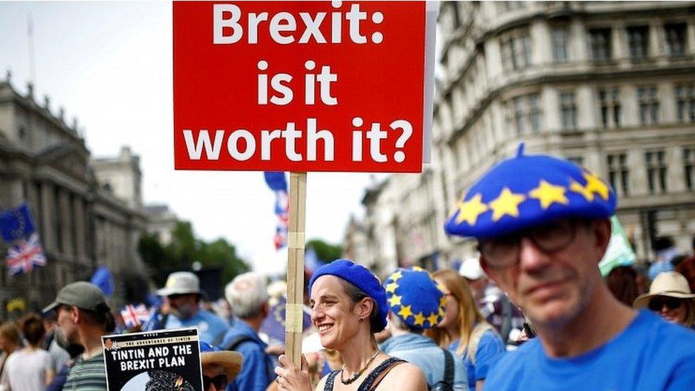 Campaigners calling for a referendum during a march in Westminster in July