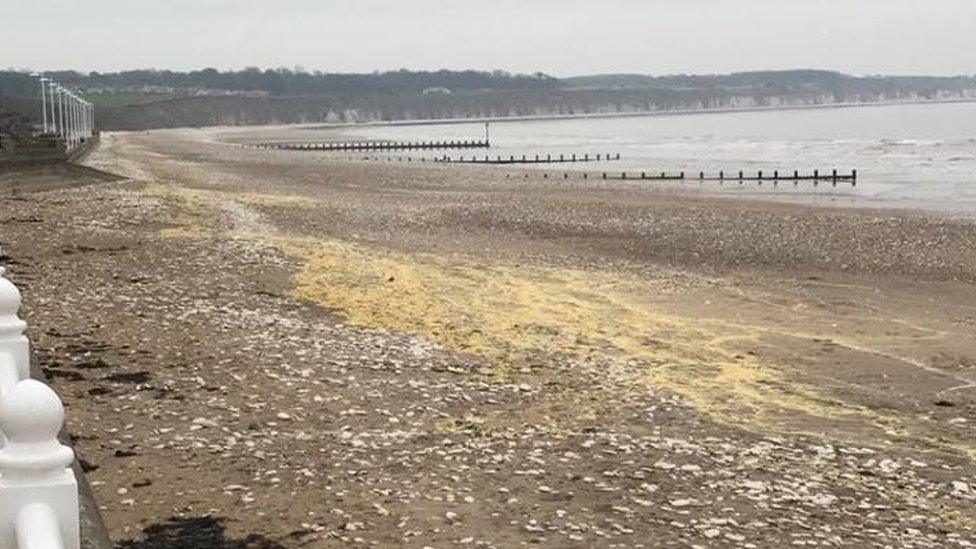 wax on the beach near Bridlington