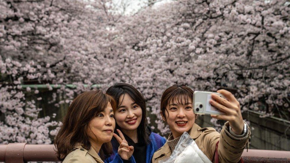 women taking a selfie in japan blossom trees