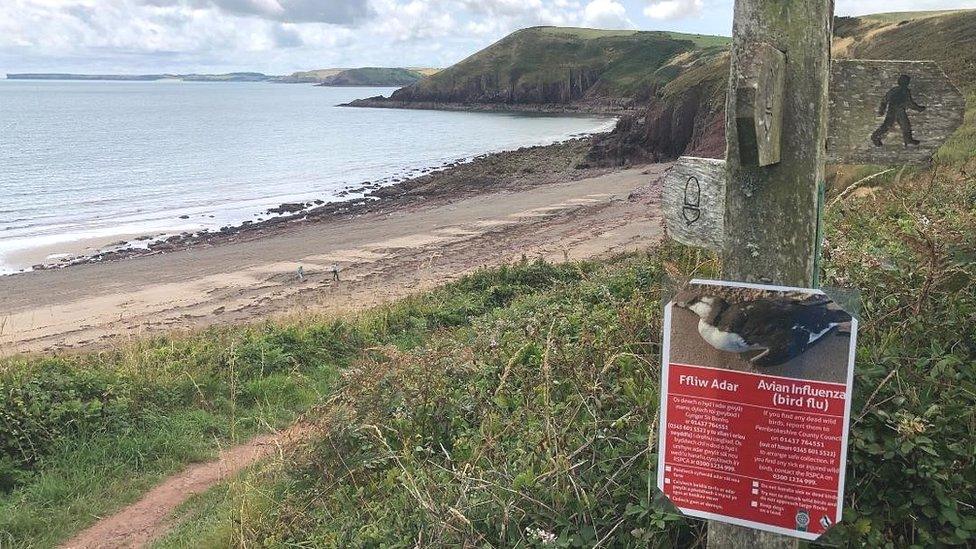 Beach in Pembrokeshire