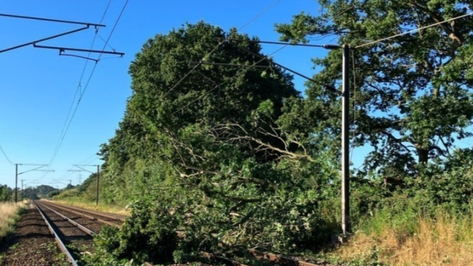 Tree on railway line