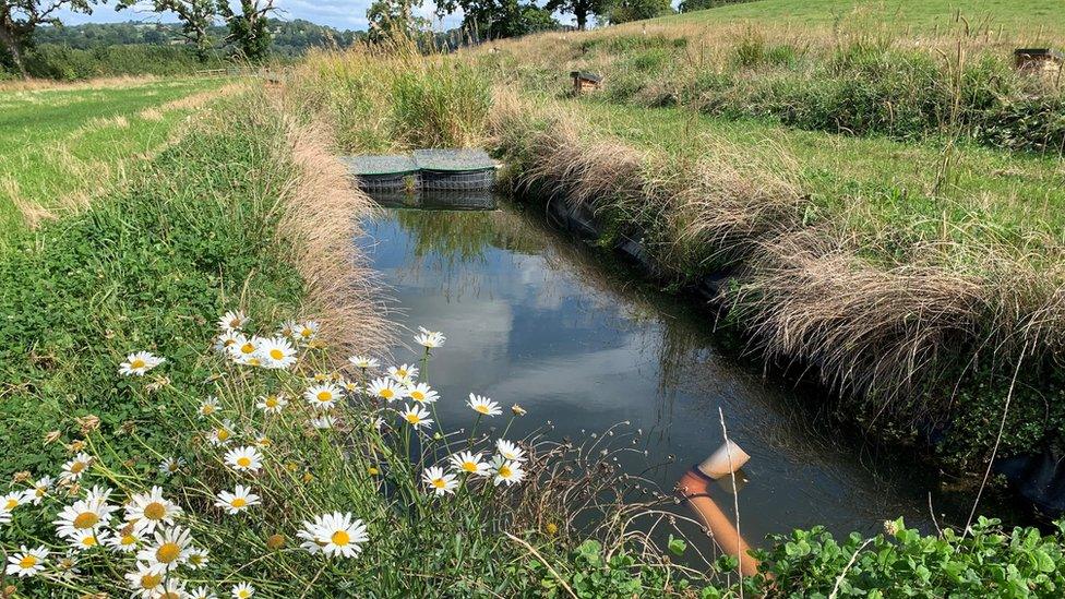 canal in farmer's field