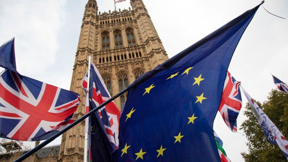 flags at a protest at Westminster