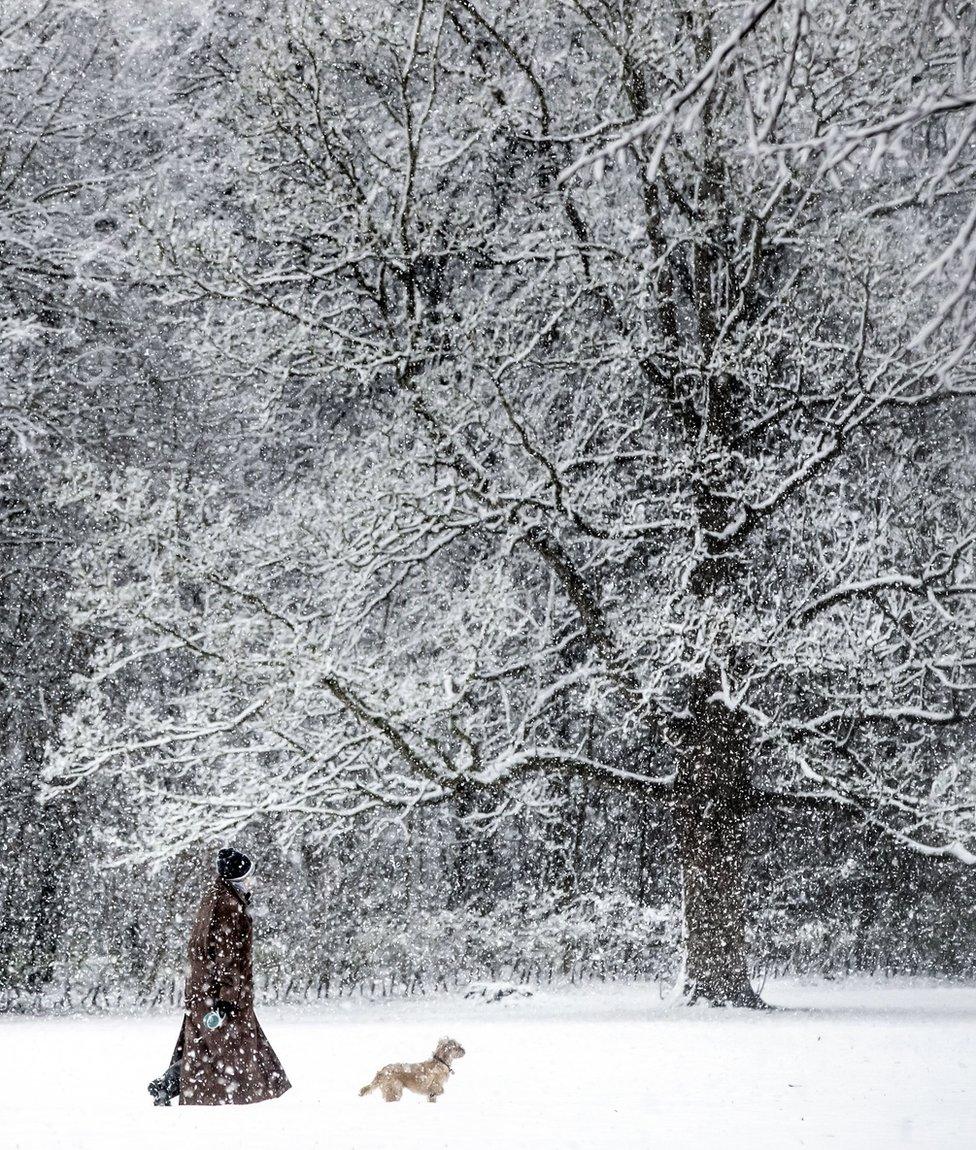 A woman and her dog stroll through the snow