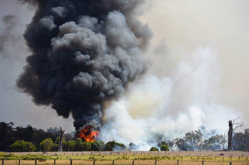 A fire near Waroona in Western Australia, emitting a huge plume of smoke on 7 Jan 2016