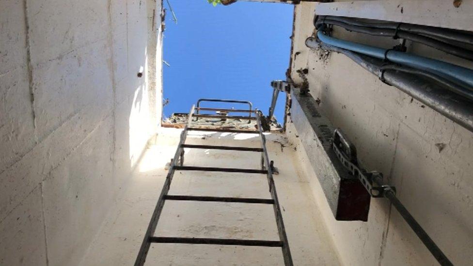 A view out of the bunker, with the steel ladder