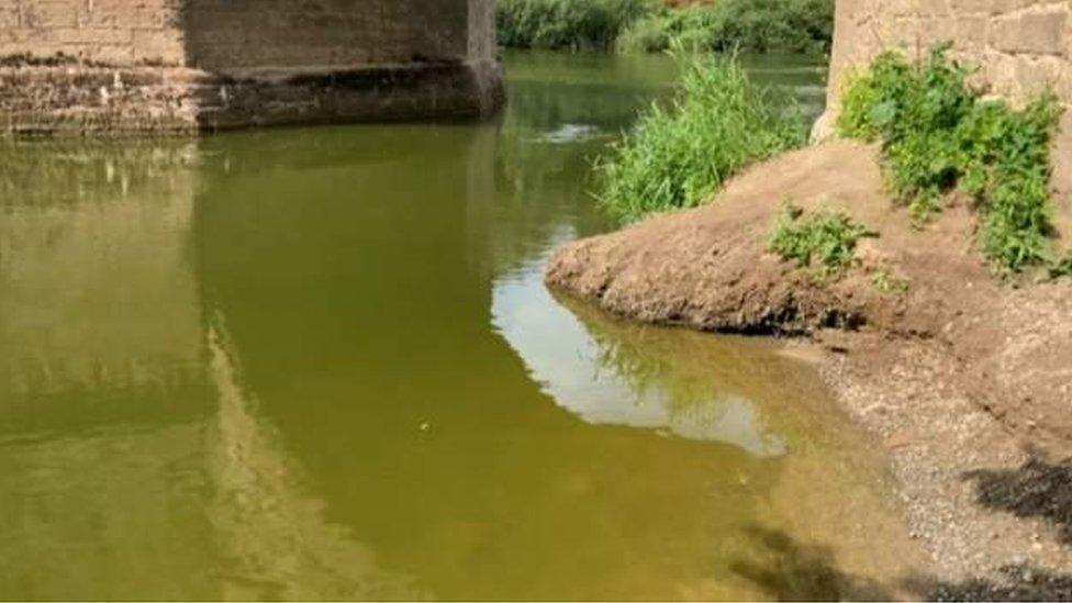 Green water in the River Wye