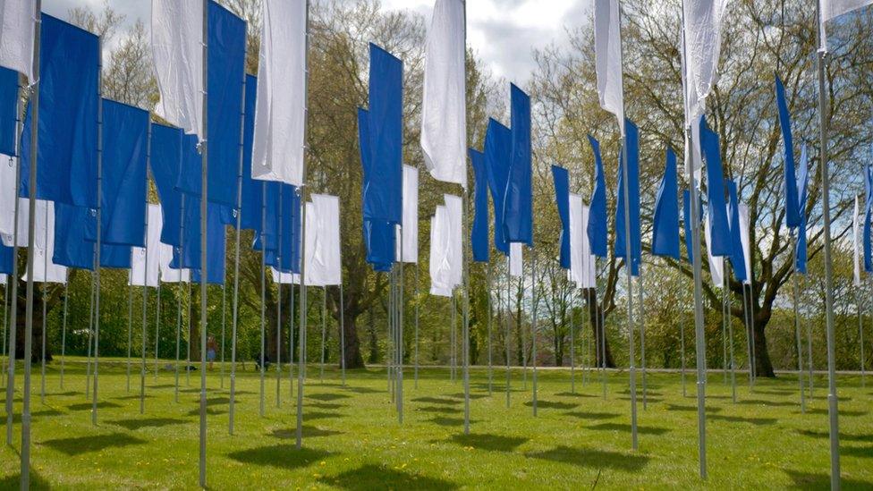 Flags at Aston Park