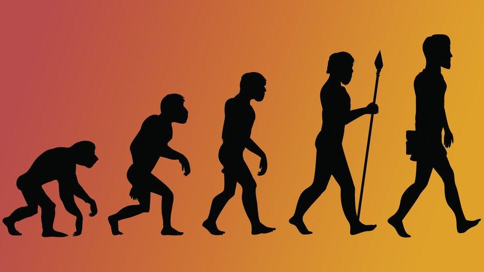 evolution of man