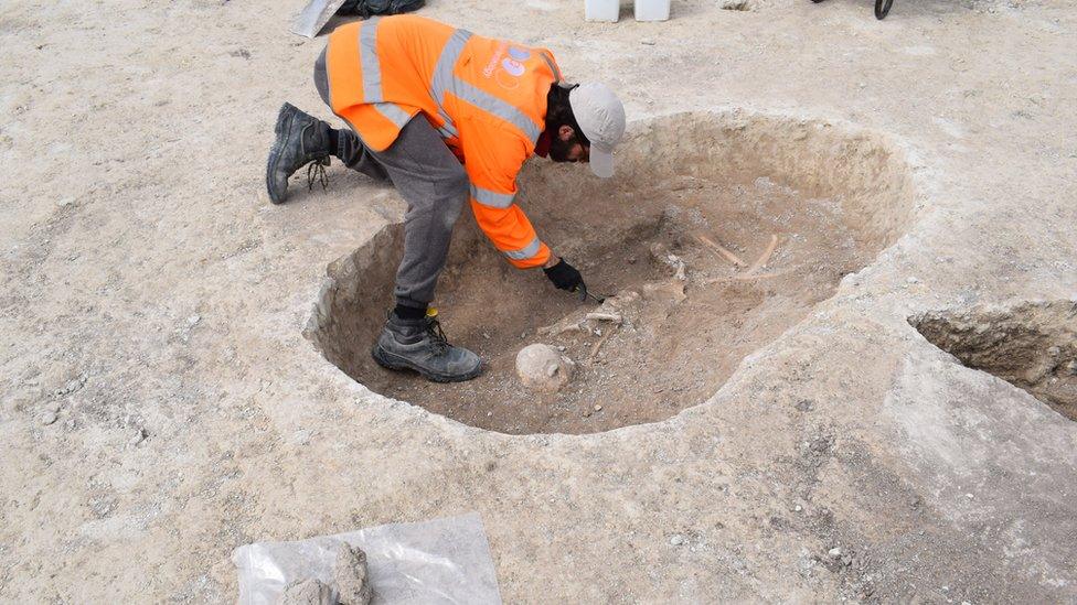 Archaeologist unearthing skeleton