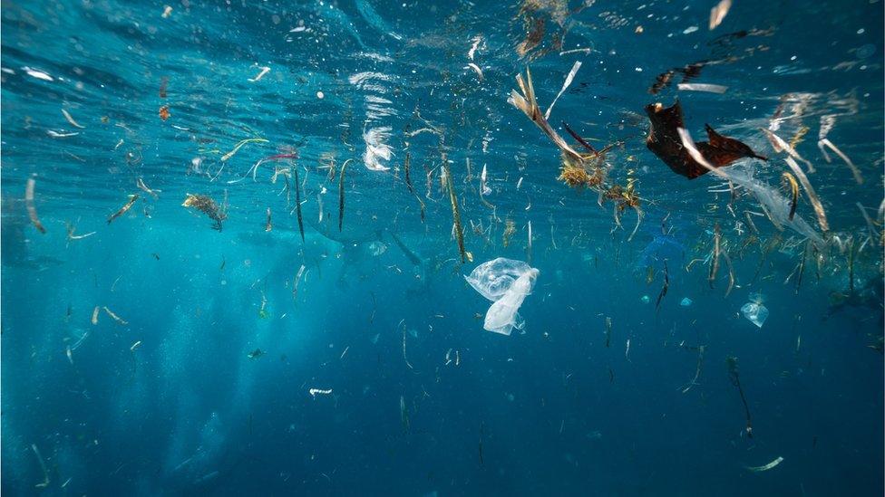 Plastic in the ocean