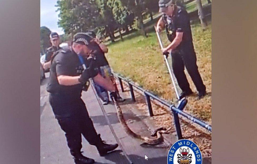 Officers with the snake