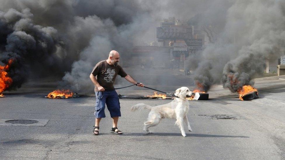 A protester and his dog stand in front of flames