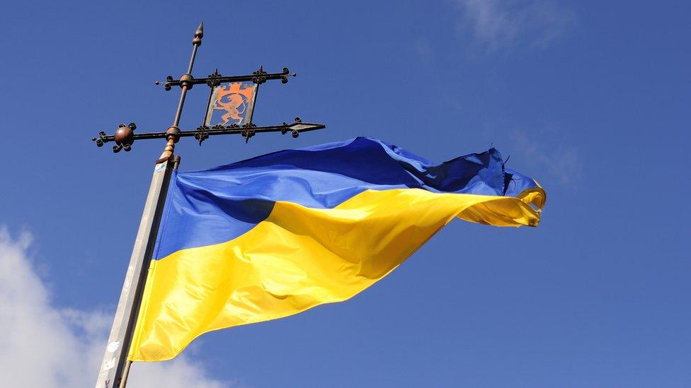 Ukrainian flag