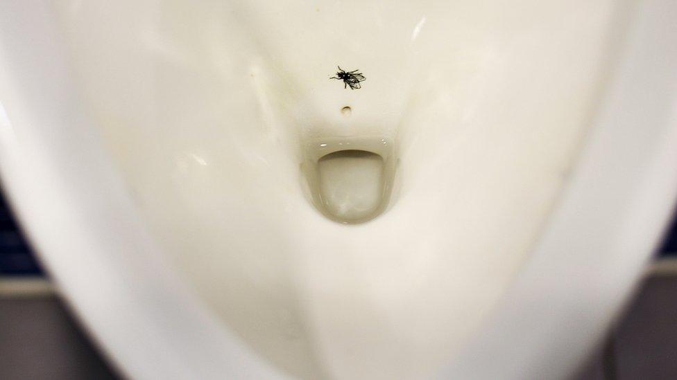 toilet bowl with fly etched on