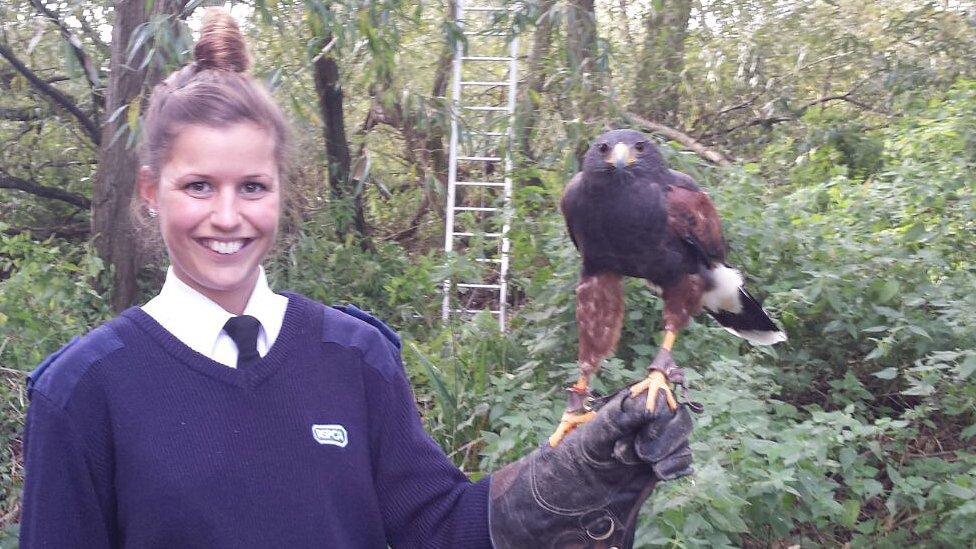 RSPCA officer Grace Mead with Leon the hawk