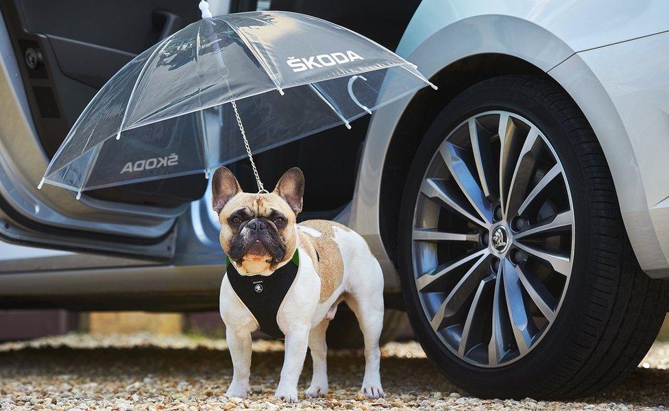 ŠKODA unveils new Simply Clever canine umbrella