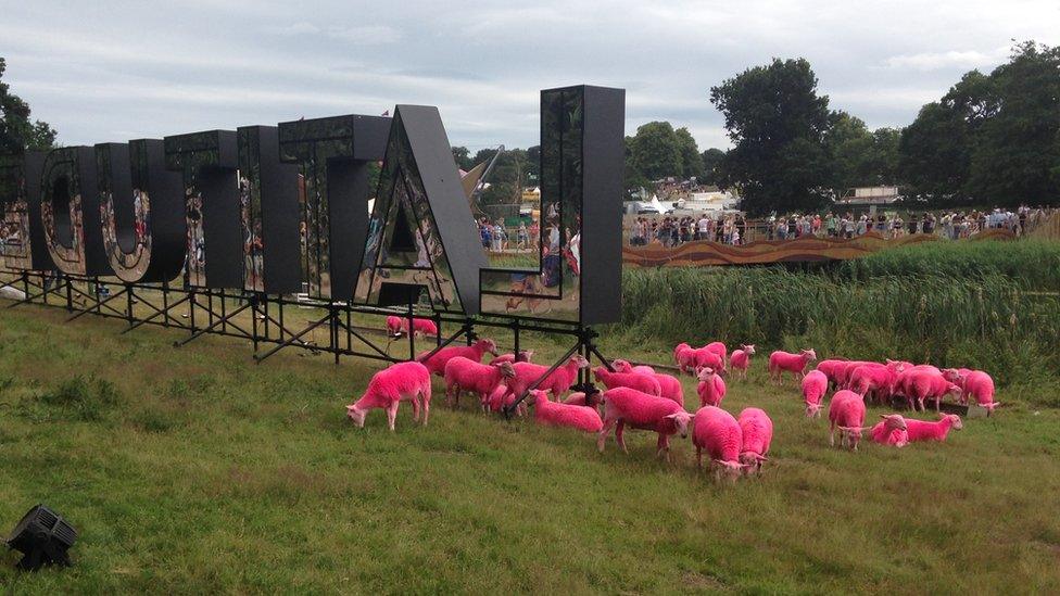 Pink sheep at Latitude Festival