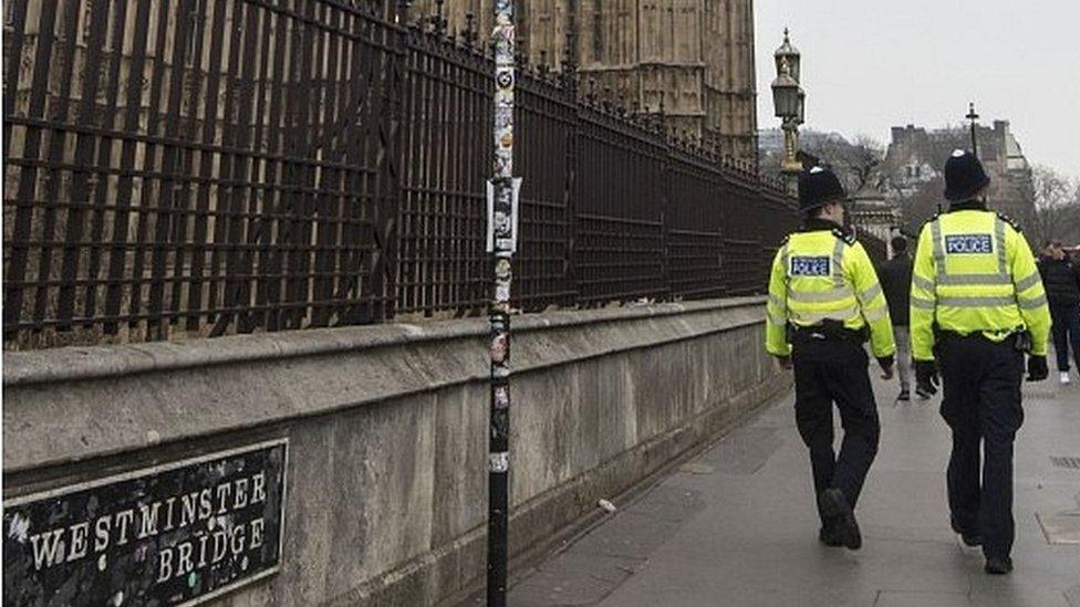 Police officers outside Parliament