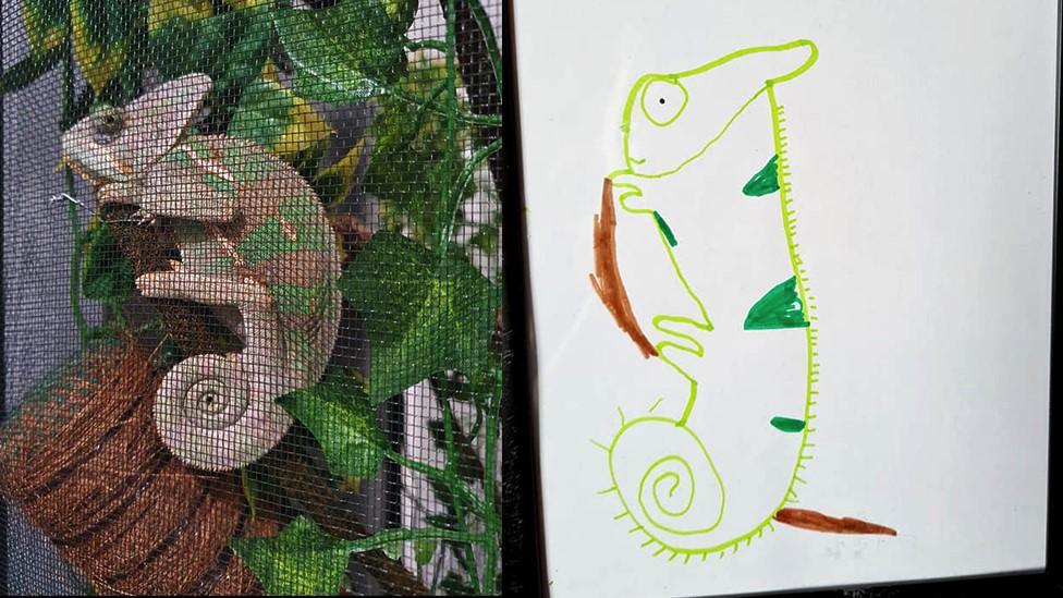 A chameleon next to a badly drawn one