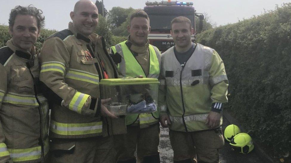 Firemen with the ducklings